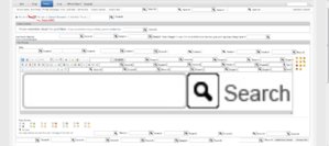 SearchNG.jpg