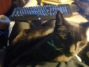 ^FAE8AA175821CB8C11FC74D079A6F1B47CB9C154CE23C3C223^pimgpsh_fullsize_distr.jpg