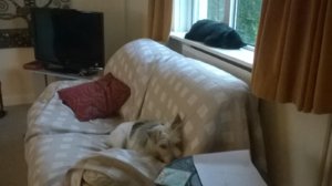 2016-05-08 20.23.23.jpg