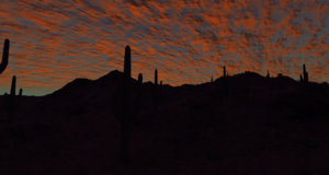 screenshot_00346.jpg