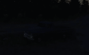cb4237cde828e113fd0bfc4a554fa17c.gif