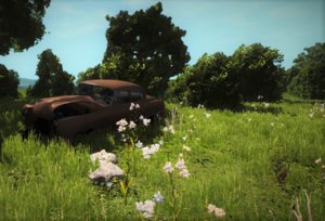 screenshot_00078[1].jpg