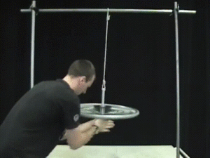 gyroscope.gif
