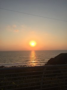 IMG_2339.JPG