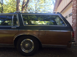 rear.jpg