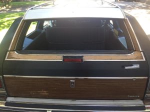 backdoorwindowdown.jpg