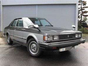 p11.jpg