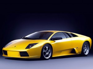 murcielago.jpg