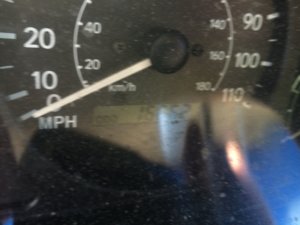 image.jpeg