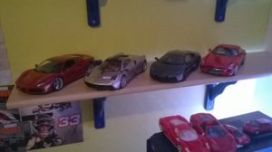 WP_20160825_006[1].jpg