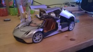 WP_20160825_011[1].jpg