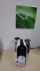 DSC_0477.JPG