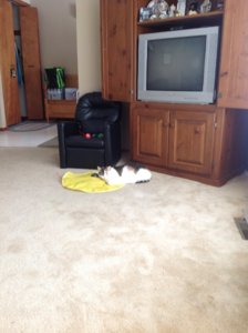 IMG_0355.JPG
