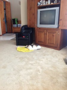 IMG_0356.JPG