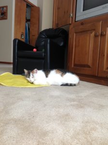 IMG_0357.JPG