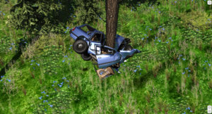 ForestHills19.jpg