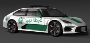dpmp_policed.png