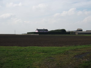 DSCF1800.JPG