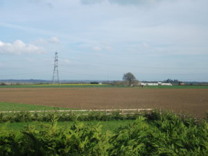 DSCF1802.JPG