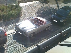 Foto0309.jpg