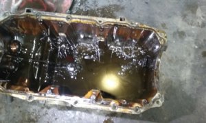 20160919_150041.jpg