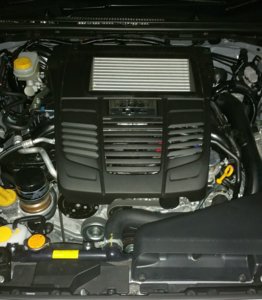 20150322_194543.jpg