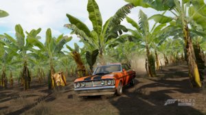 Forza Horizon 3 (15).jpg