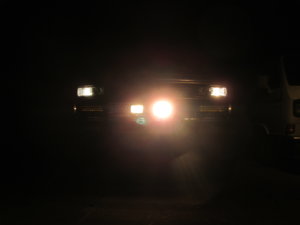 IMG_3518.JPG