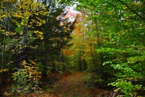 DSC_0278.JPG