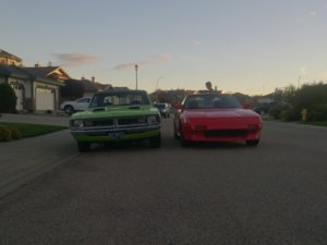 DSC_0342.jpg