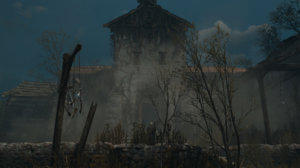 witcher3 2016-06-18 22-49-50-66.jpg