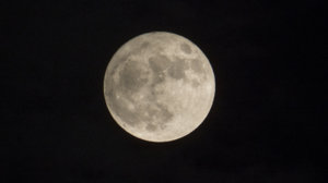 IMG_4573.jpg