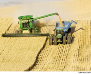 A5combine[1].jpg