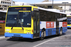 542.jpg