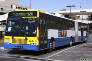 378.jpg