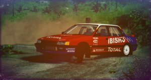 RallyIbishuPessima.jpeg