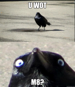 image.jpeg