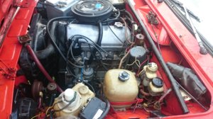 DSC_1096.jpg