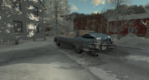 Rallysnow4.jpg