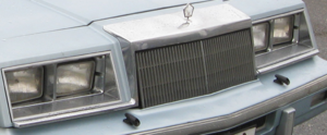 BruckellFront.png