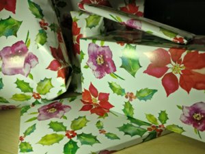 IMG_20161216_143947.jpg