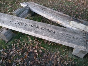 IMG_20161214_160730.jpg