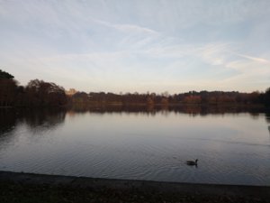 IMG_20161217_144417604.jpg