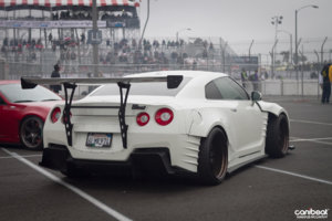 FD_LB_Iggy48.jpg