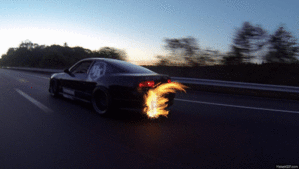 ibrhT52tW2DX9E.gif