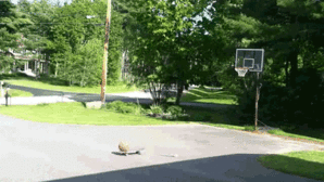 anigif_enhanced-buzz-24754-1359747060-6.gif