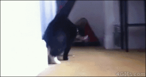 anigif_enhanced-buzz-25090-1359745960-0.gif