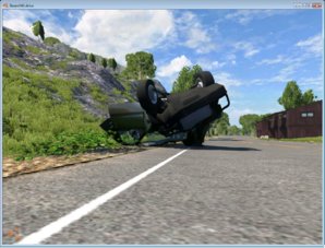 flipped.jpg