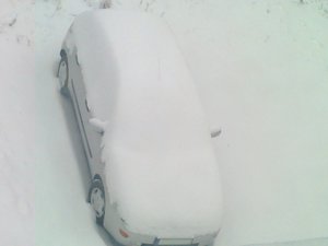 Foto0319.jpg