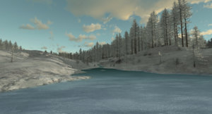 Rallysnow1.jpg